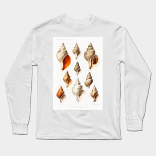 Molluscs of the Northern Seas Long Sleeve T-Shirt